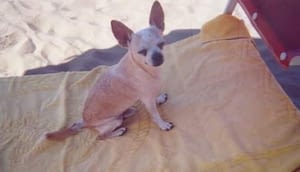 JERRY 407 inbound6648567086082926042