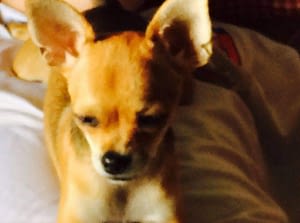 Miss Peteli' 479 inbound1363378283015831678