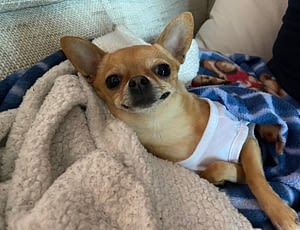 MIDORI 87 guest 1761335644 a2e2 IMG 7907