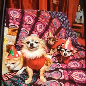 Annina,milly jelly e filu' 437 inbound5468768575927419334