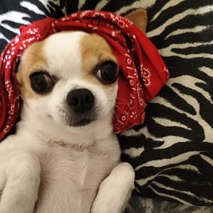 Mia 1 inbound8900305010632703162