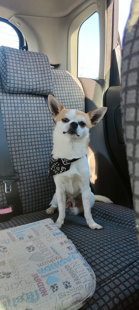 Kevin 2 inbound6952334433025667820