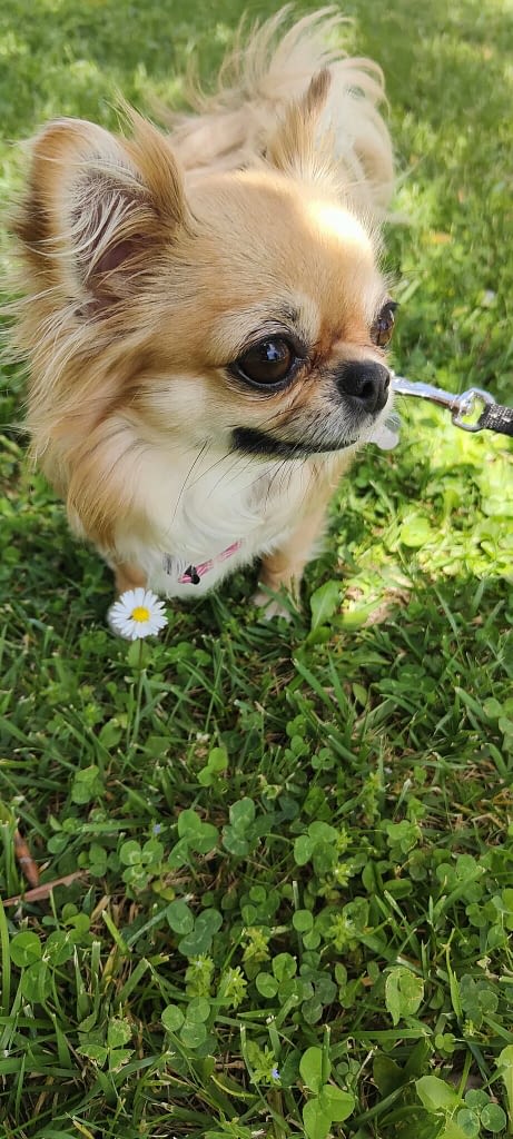 Camilla 2 inbound8135876438344688663