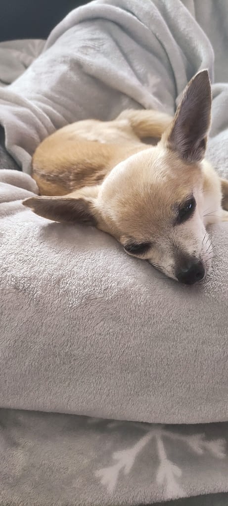 Aris 2 inbound8526241876622017887