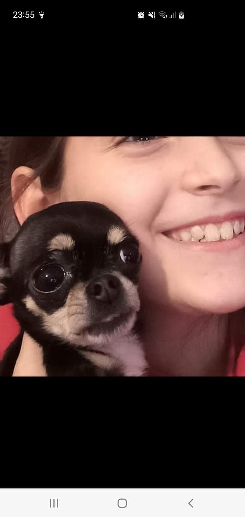 Stella 2 inbound2608204439730489084