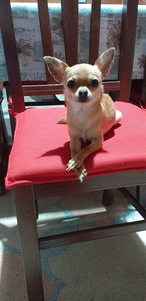 Mia 2 inbound3653670786945223519