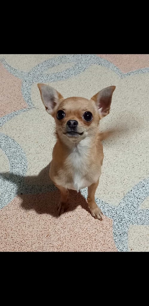 MIA 2 inbound8562427709348294483