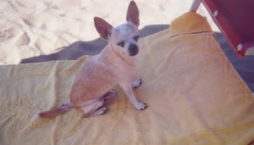 JERRY 2 inbound6648567086082926042