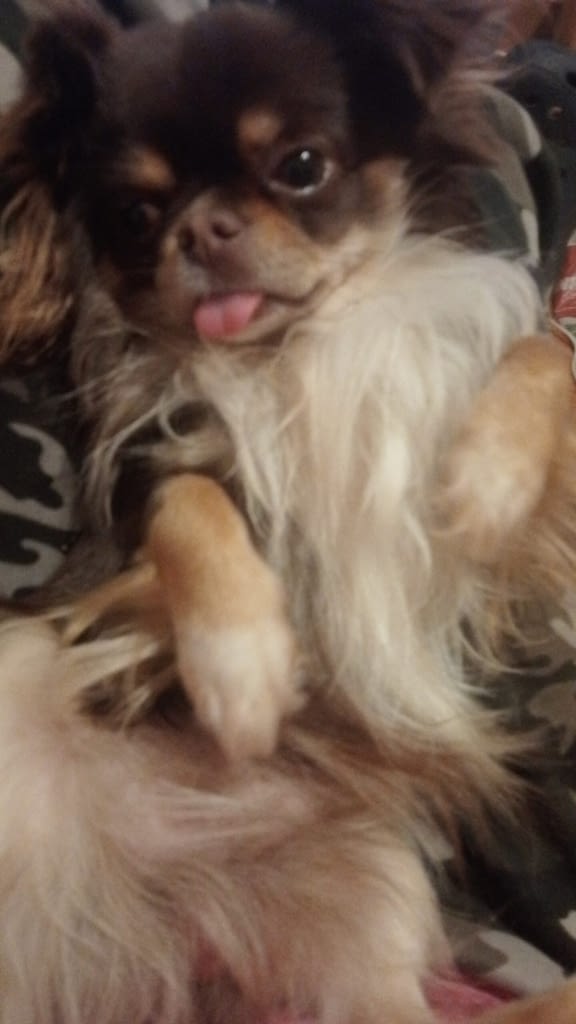 Milo 2 inbound250480779253990705