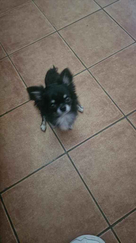 Noah 2 inbound7892818274005090262 scaled