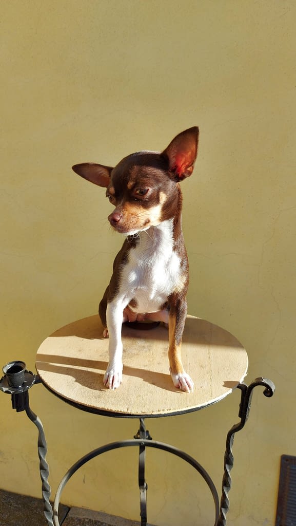 Kira 2 20211212 145629