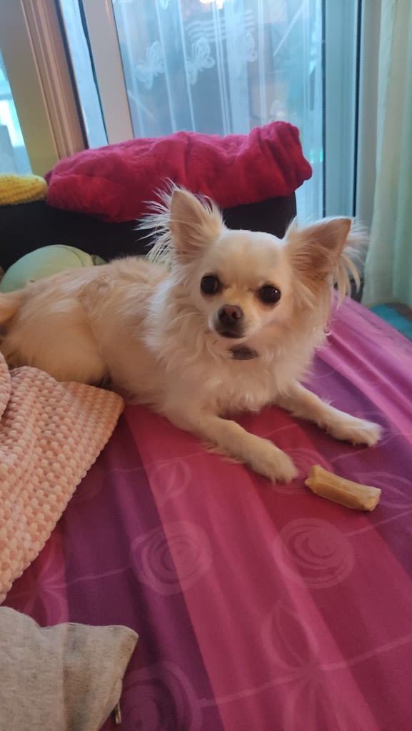 Mia 2 inbound9033290300452397518