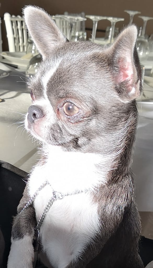 Megghy 2 inbound8129843374801585832