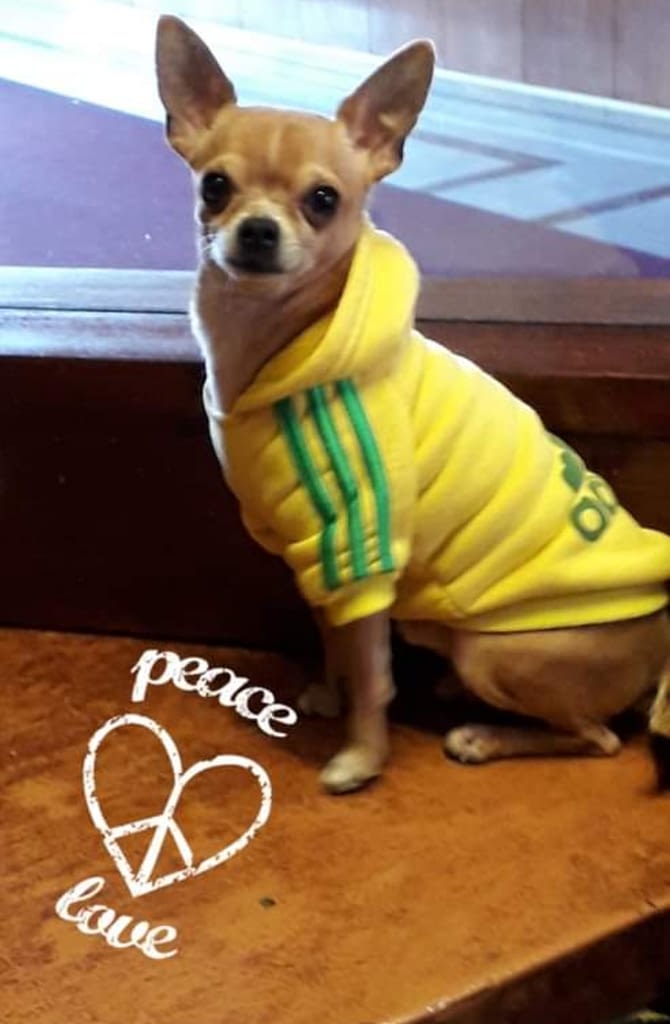 Flin 2 inbound5702179731456640049