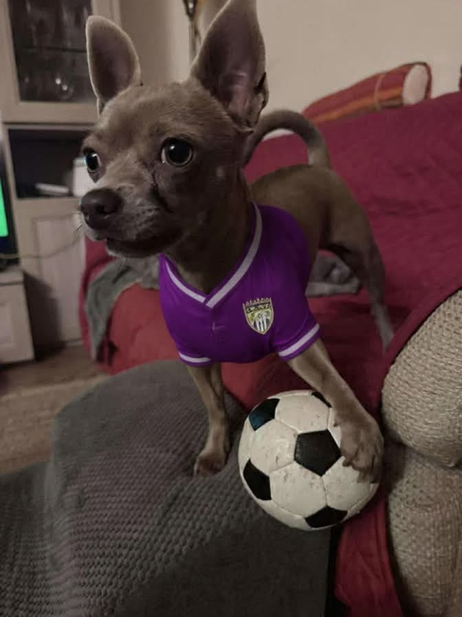 Mia 2 acef787ac2e4fe131a2a75861ce0e1bb