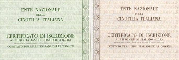 When the pedigree is fake 2 encipedigreeroirsrloilir