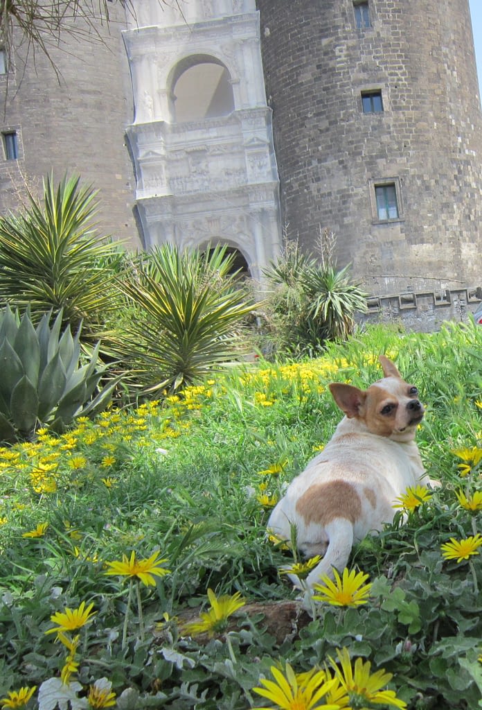 Marta 2 inbound1906060993503059668