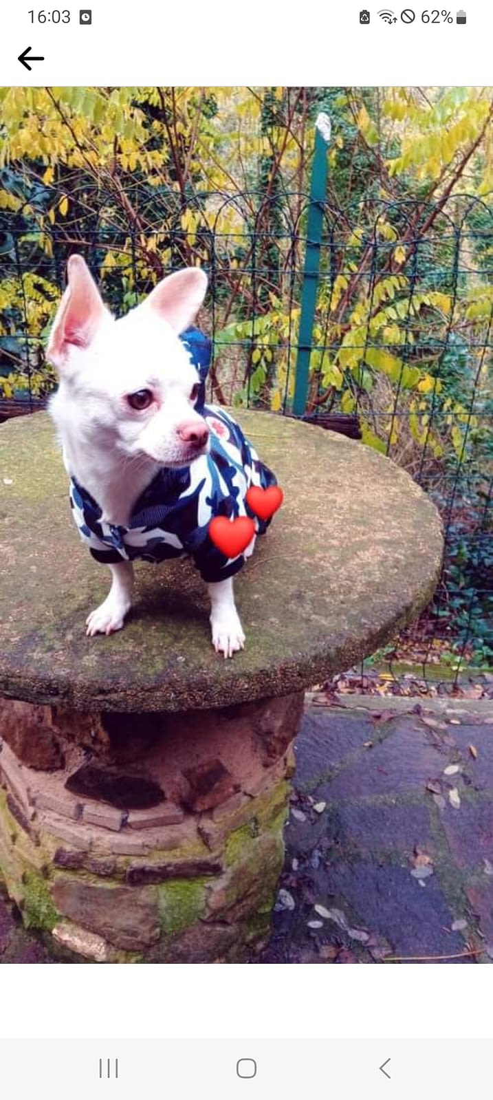 inbound2512094892900809990