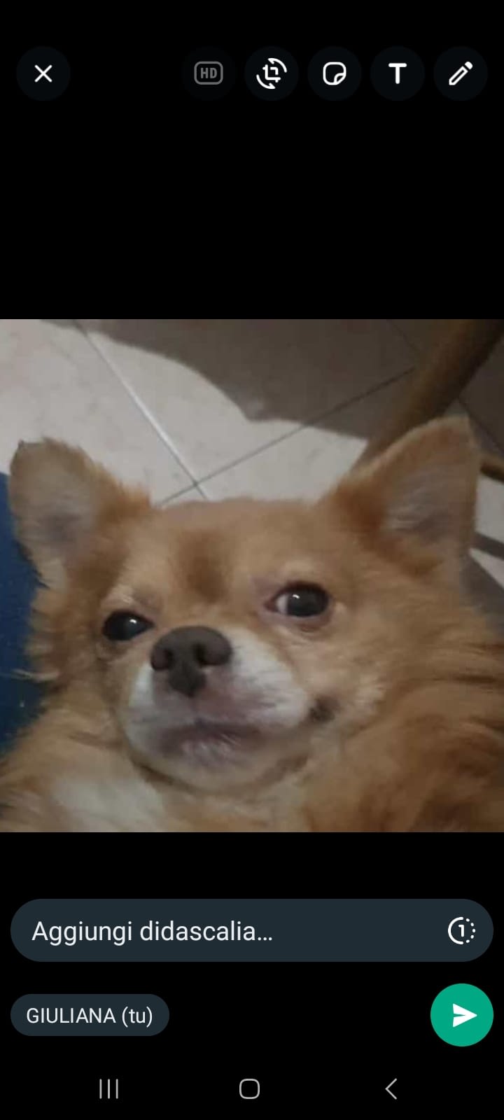 inbound1432384134576329782