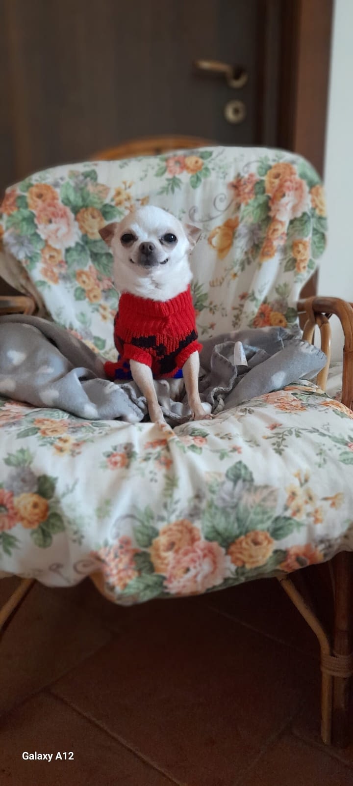 inbound8279641049851369817