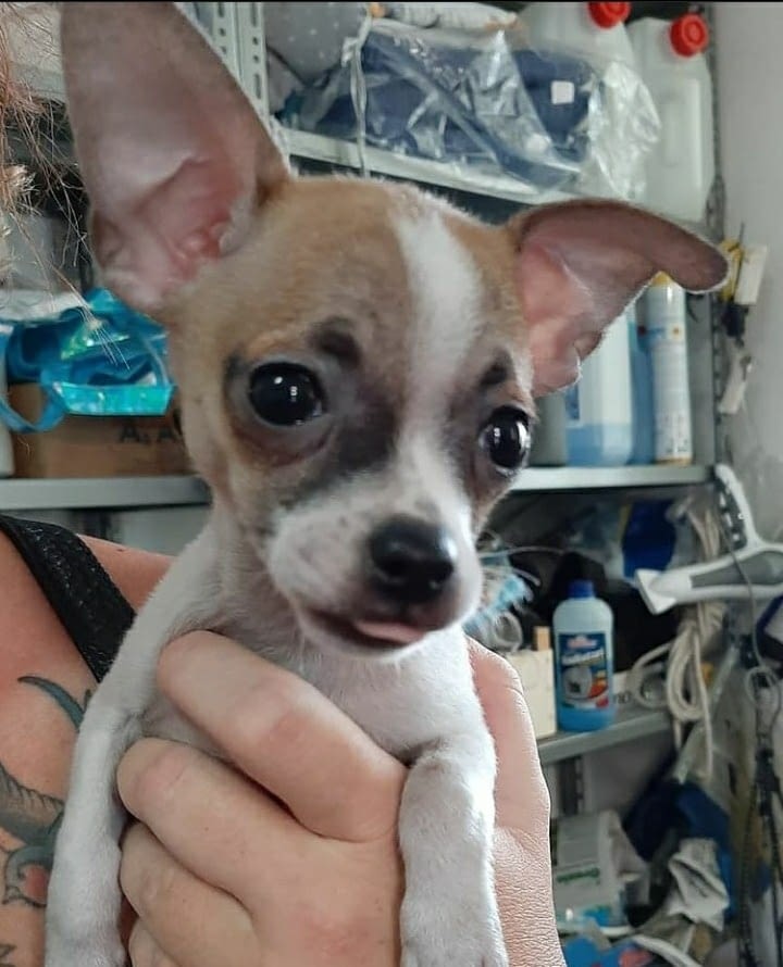 Jean 2 Immagine WhatsApp 2023 12 04 ore 19.54.01 788ef454