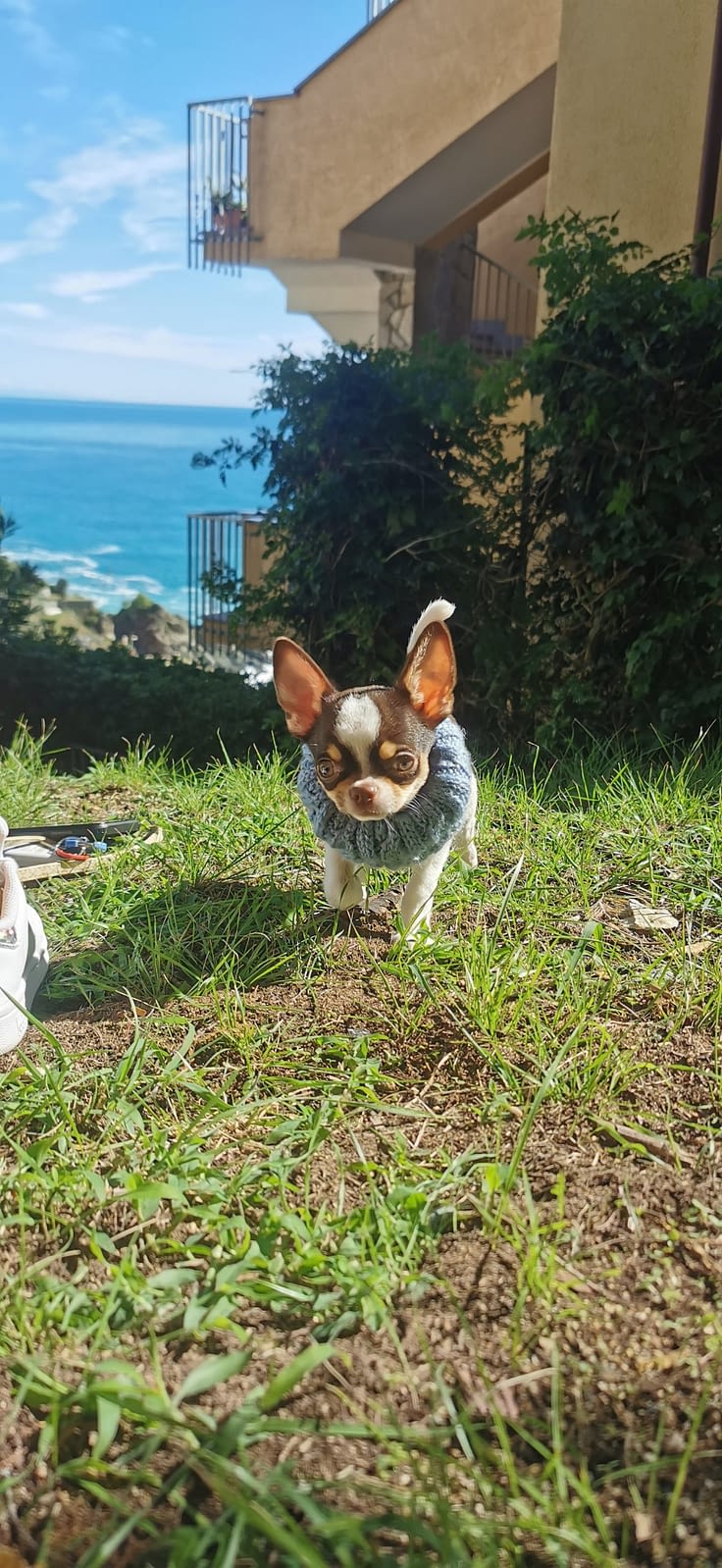 IMG 20201007 135109 scaled