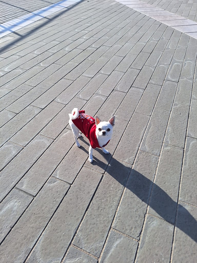 Maya 2 20231225 105202 scaled