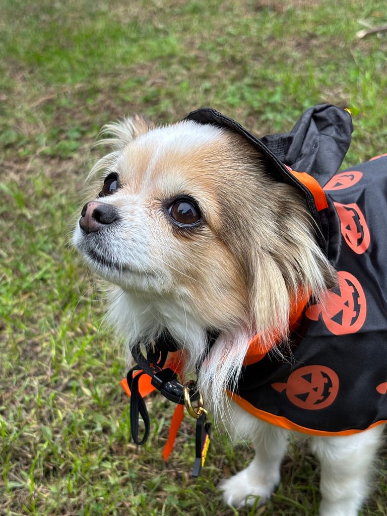 AIKA 2 IMG 4227 scaled