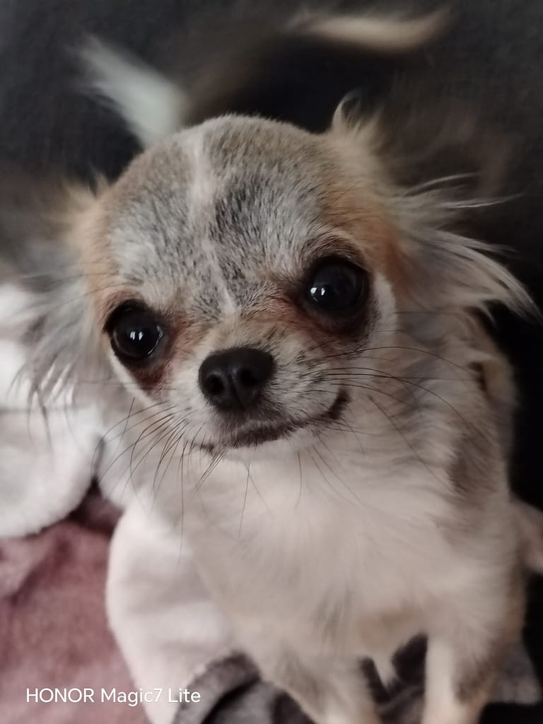 Lilith 2 guest 1762099558 fd33 inbound6762350246425645384 scaled