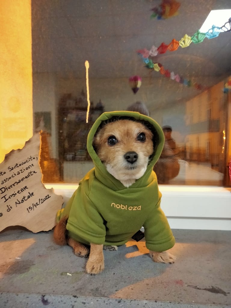 Kelly 2 inbound1084619403078381991