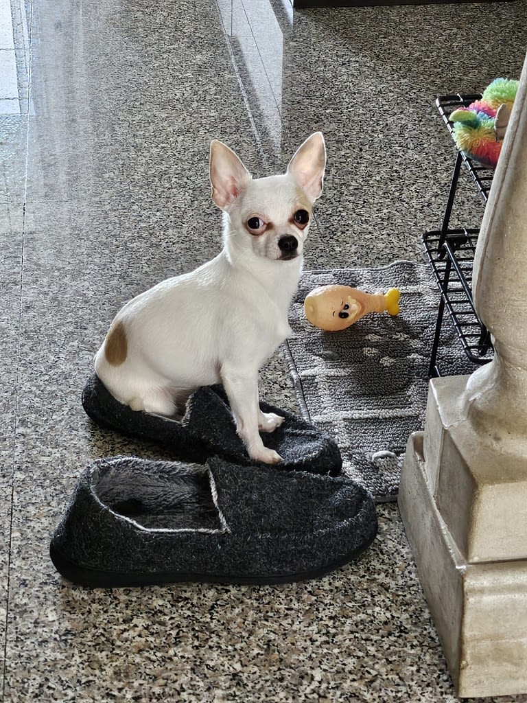 Nina 2 inbound3104974235649349273