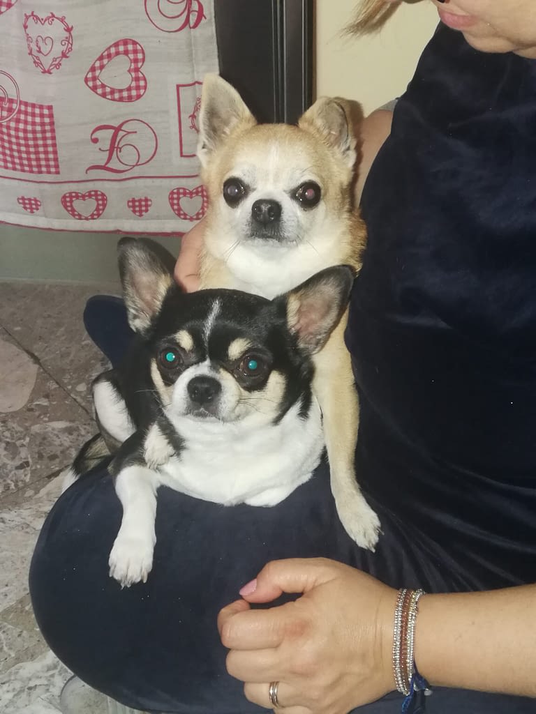 Pablo Nina 2 inbound3265439657834191071