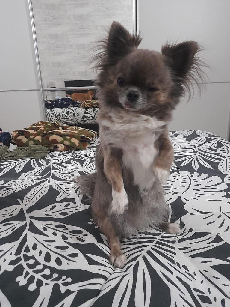 Merilyn 2 inbound3764402635293895849