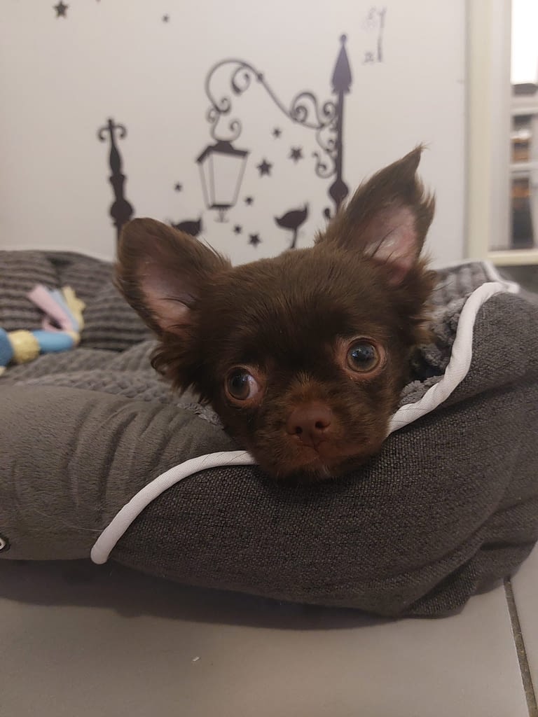 Aron 2 inbound5388228449284521703