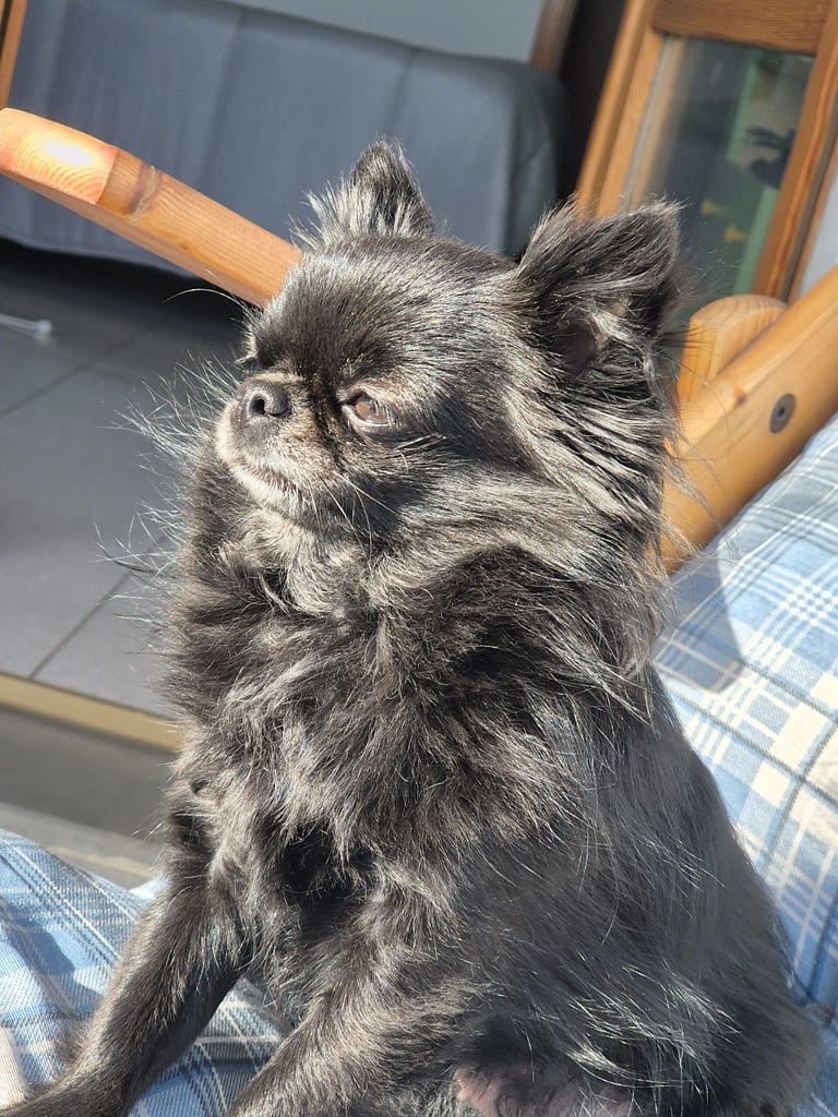 Kira 2 inbound7037397164002101815