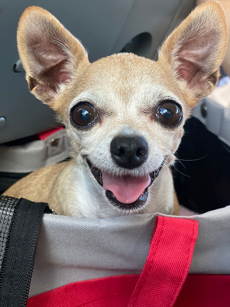 PEPA 2 inbound8239249643329379602