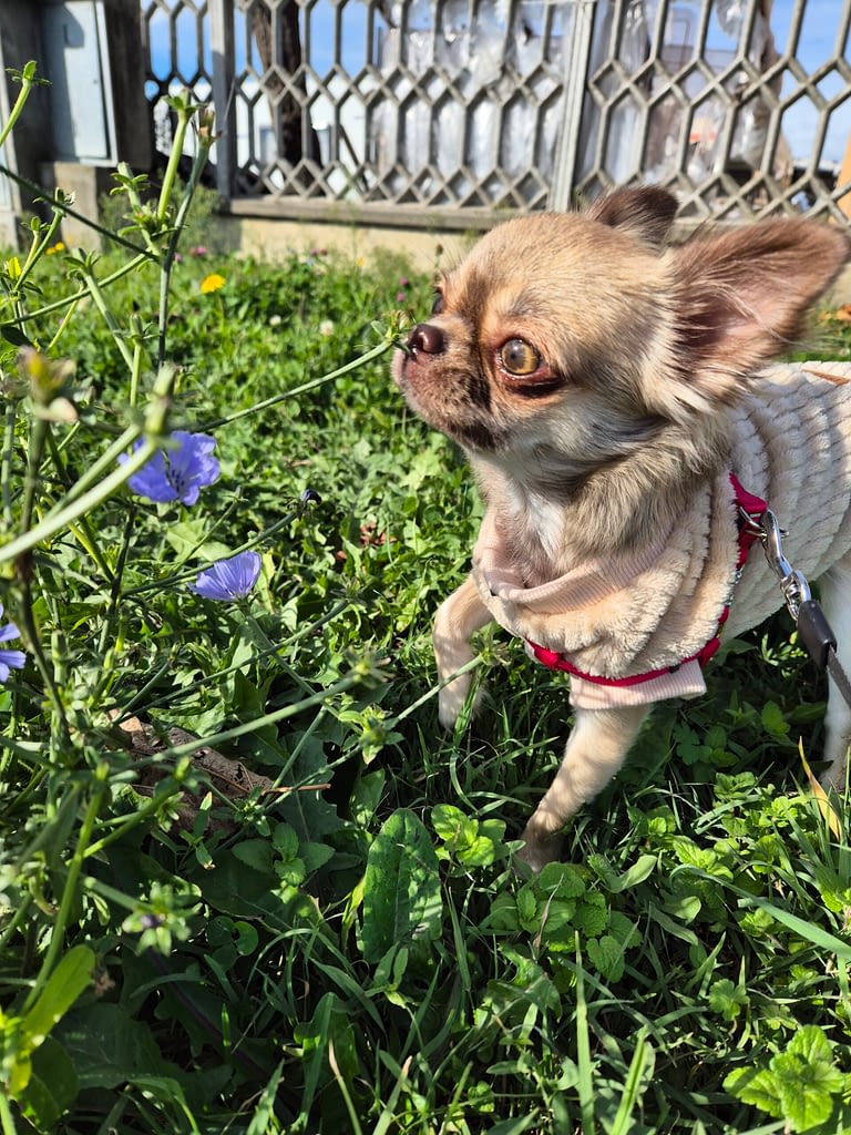 Maya 2 inbound8627500581830323589 scaled