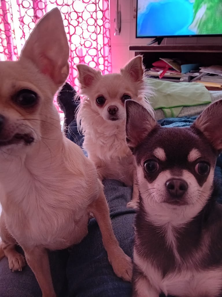 Odin, Umbria, kika, 2 inbound941340518058583696