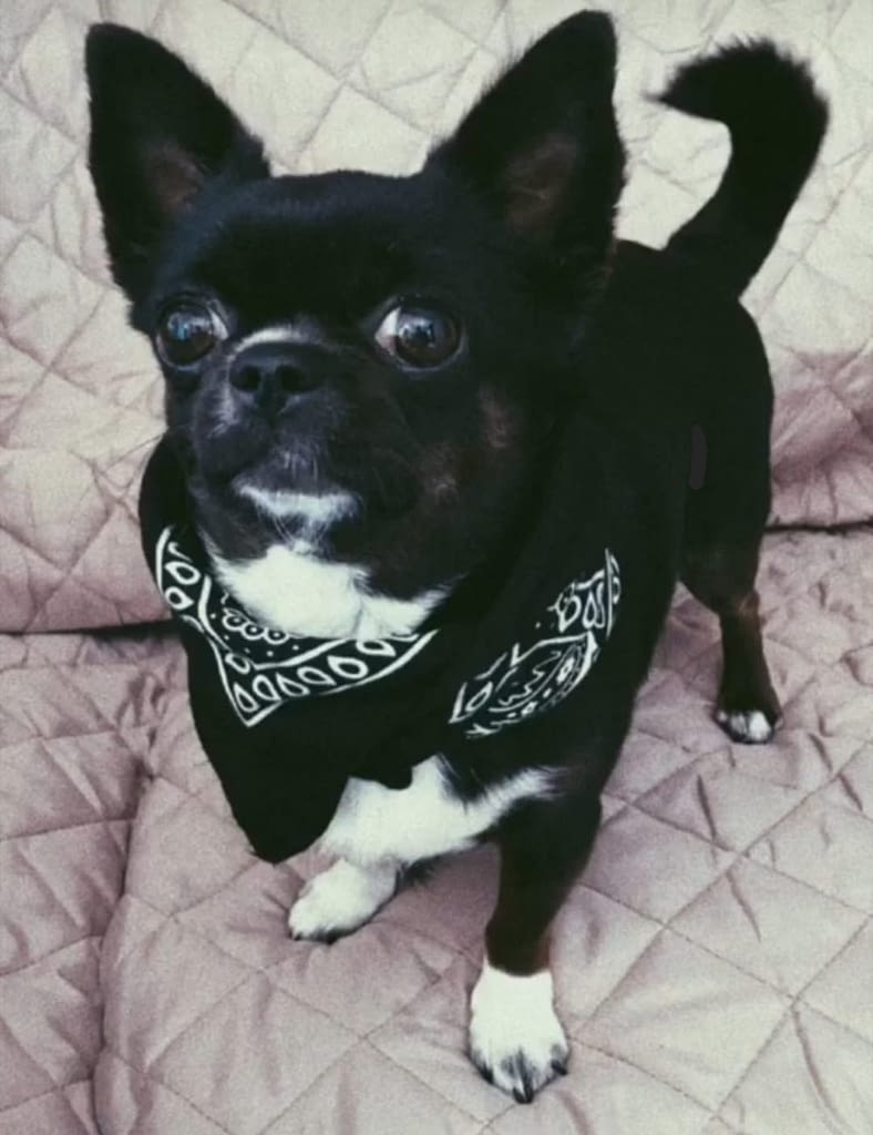 Margot 2 inbound2208408181430586330