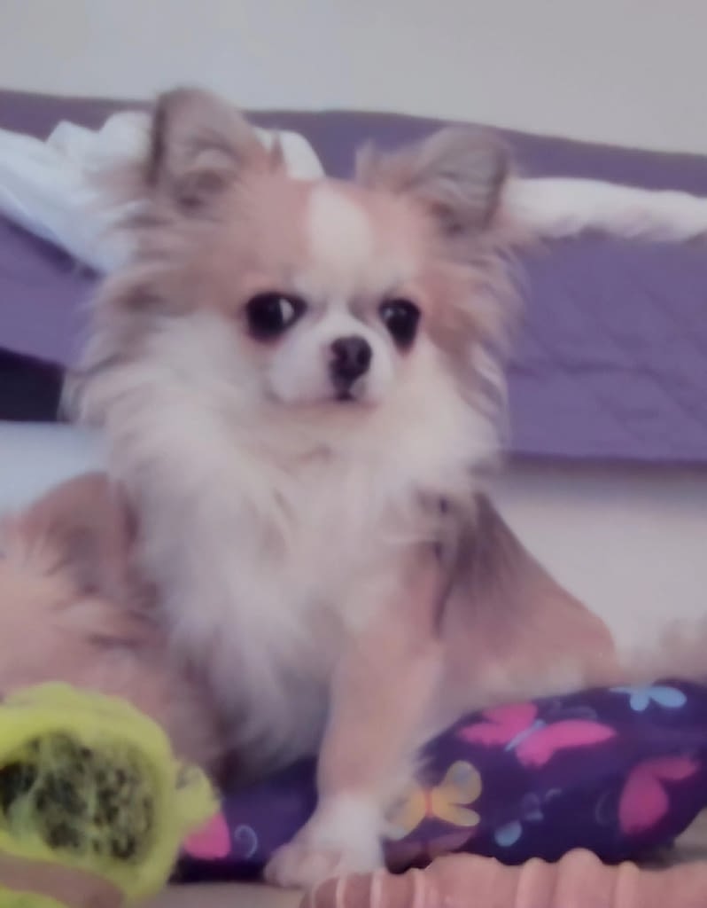 Arturo 2 guest 1762080768 c6cf inbound8987809249793577380