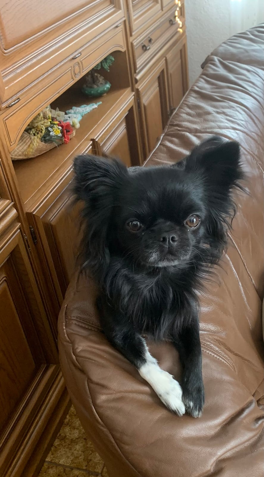 Kosmo 1 IMG 8830 scaled