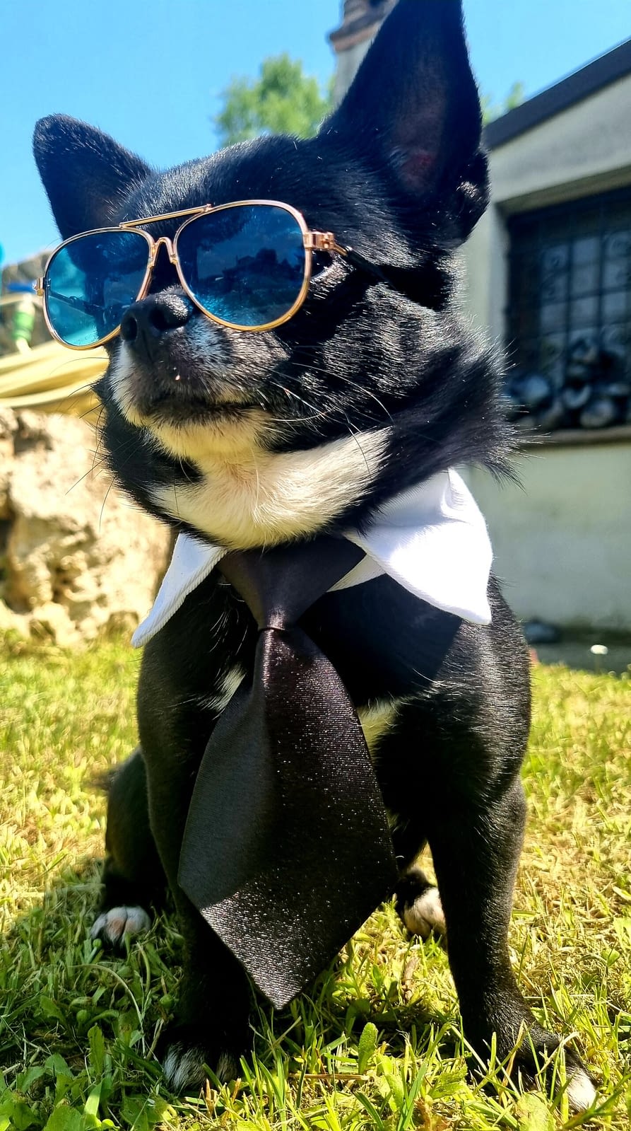 THOR 1 inbound3716171663018423105 scaled