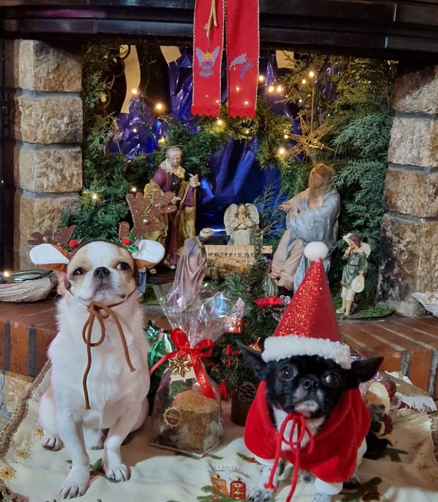 inbound6159735907132374369