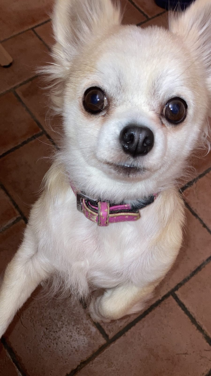 Mya 1 268EAC9D B5CD 4733 8177 C9AD6BDE4070