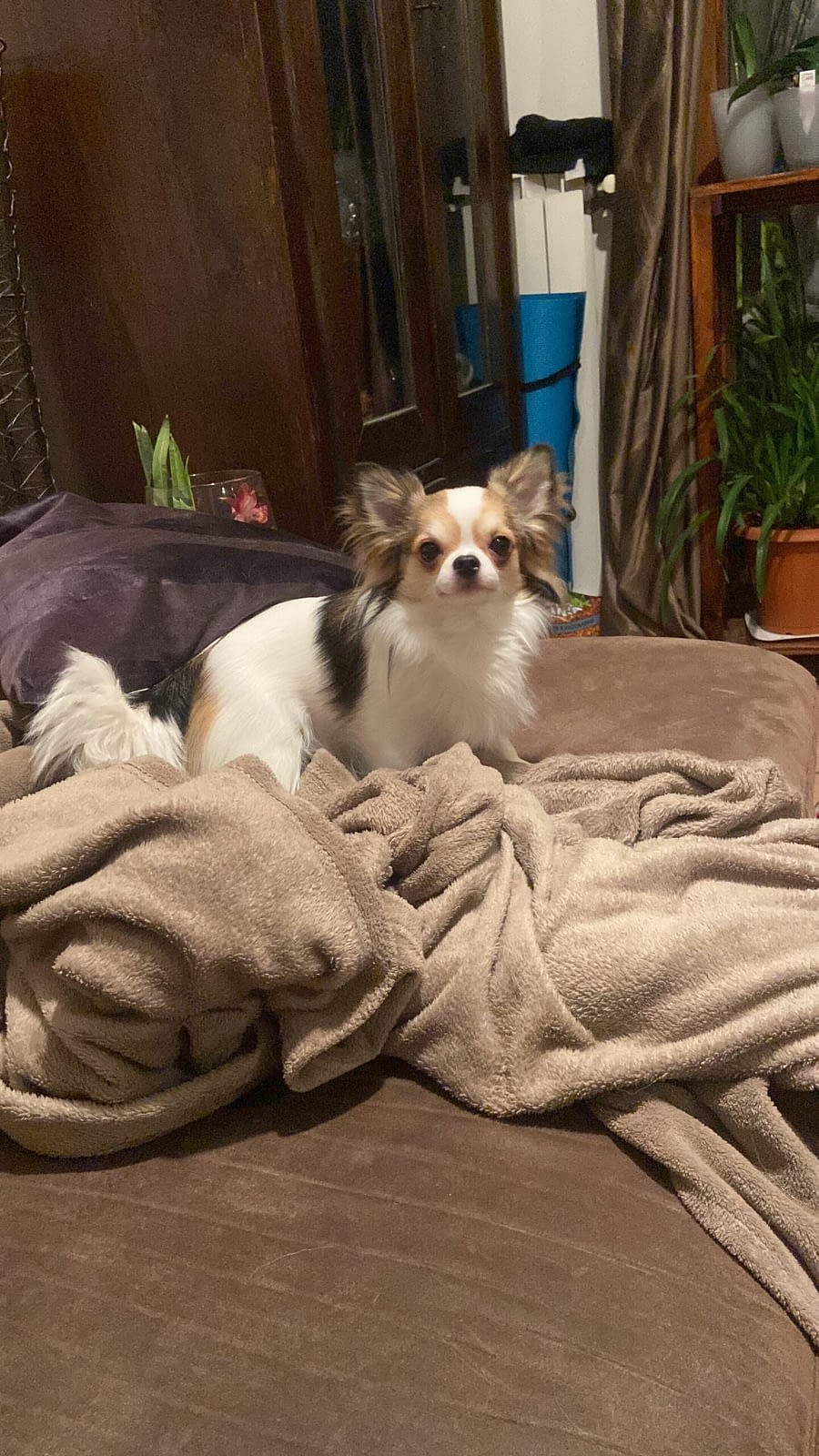 Maverick 1 C9226A34 F54F 46BE BCF4 BE01DAC5DA4B