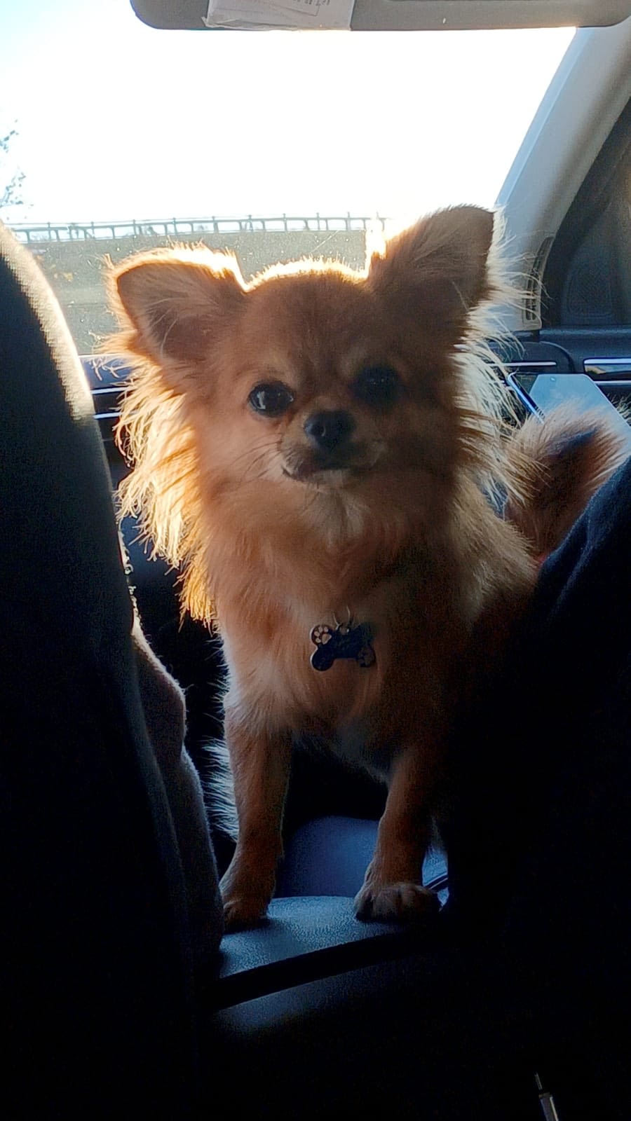 inbound8854541032826570688