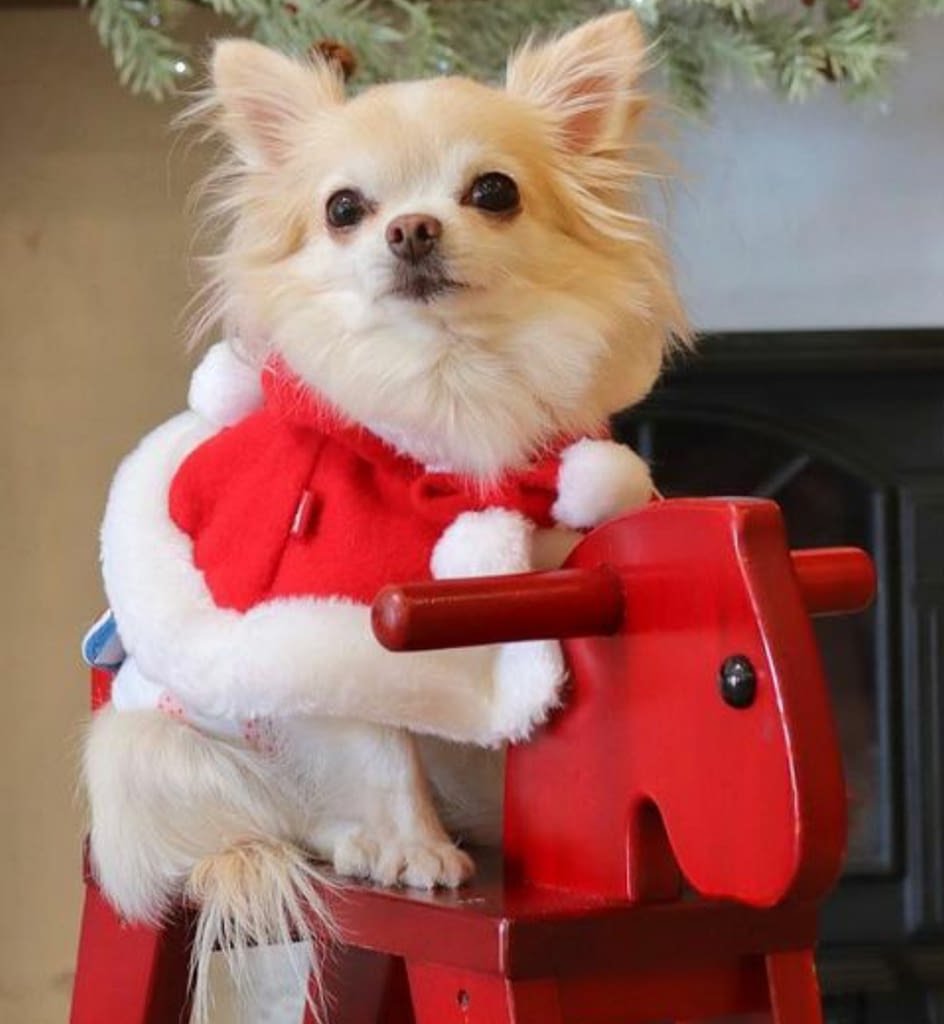 Vicky 2 inbound32808999964664300