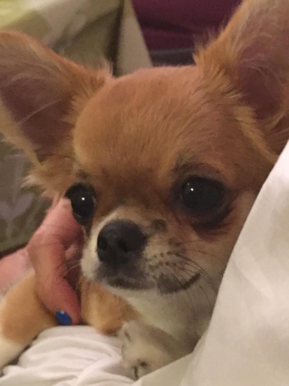 thumbnail 5c376da4 d104 47ee 94d9 10f10a341b4e