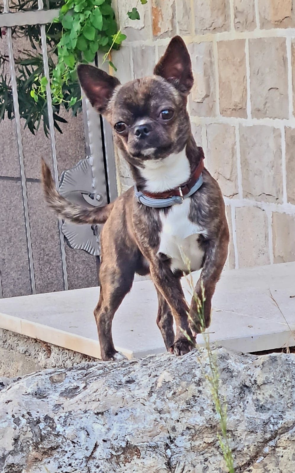 inbound4900419157465949613