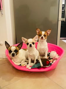 Berta, Ondina e Mafalda